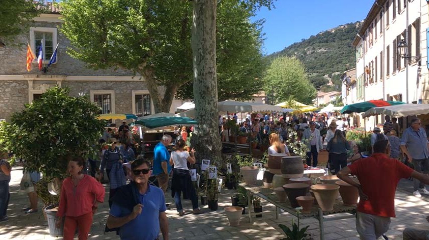 Image 1 Foire au plants 2018