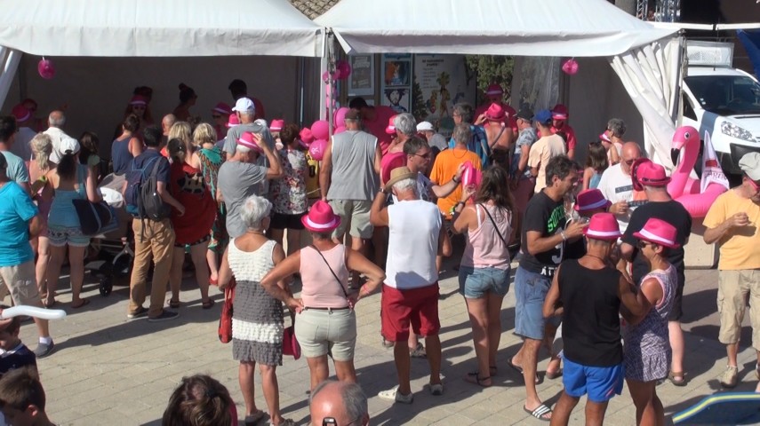 La Journée Rose de Provence a Sainte Maxime
