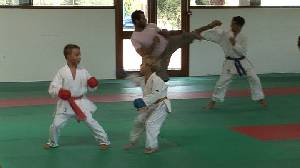 KARATE